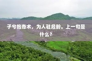 子兮抱奇术，为人驻危龄。上一句是什么？