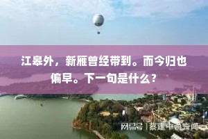 江皋外，新雁曾经带到。而今归也偏早。下一句是什么？