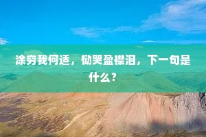 涂穷我何适，恸哭盈襟泪，下一句是什么？