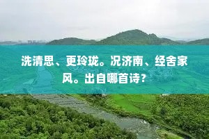 洗清思、更玲珑。况济南、经舍家风。出自哪首诗？