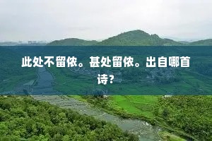 此处不留侬。甚处留侬。出自哪首诗？
