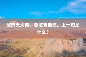 醒醉无人管，登临各自愁。上一句是什么？