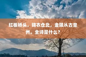 红板桥头，锦衣仓北，金陵从古皇州。全诗是什么？