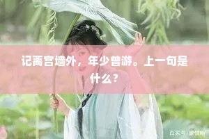 记离宫墙外，年少曾游。上一句是什么？
