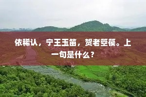 依稀认，宁王玉笛，贺老箜篌。上一句是什么？