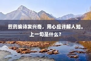 煎药编诗发兴奇，用心应许解人知。上一句是什么？