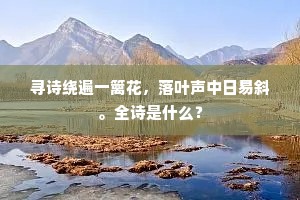 寻诗绕遍一篱花，落叶声中日易斜。全诗是什么？
