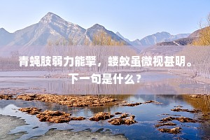 青蝇肢弱力能擎，蝼蚁虽微视甚明。下一句是什么？