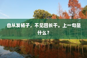 自从发杨子，不见回长干。上一句是什么？