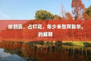 听鹊喜，占灯花，年少未愁双鬓华。的解释