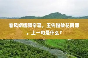 春风婀娜飘帘幕，玉钩踏破花阴薄。上一句是什么？