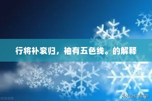 行将补衮归，袖有五色线。的解释