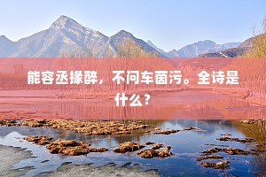 能容丞掾醉，不问车茵污。全诗是什么？