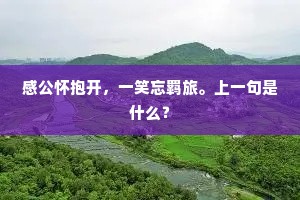 感公怀抱开，一笑忘羁旅。上一句是什么？