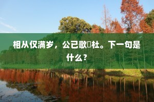 相从仅满岁，公已歌杕杜。下一句是什么？
