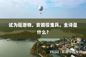 试为驱潜物，安能役鬼兵。全诗是什么？