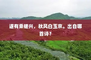 遂有乘槎兴，秋风白玉京。出自哪首诗？