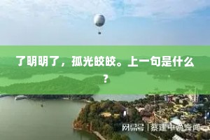 了明明了，孤光皎皎。上一句是什么？