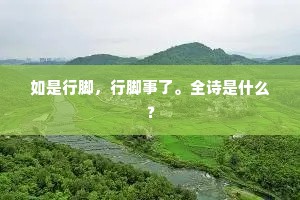 如是行脚，行脚事了。全诗是什么？