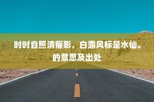 时时自照清癯影，白露风标是水仙。的意思及出处