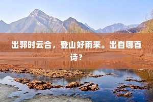 出郭时云合，登山好雨来。出自哪首诗？