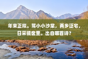 年来正拟。驾小小沙棠，两乡泛宅，日采镜奁里。出自哪首诗？