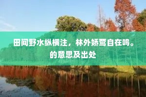 田间野水纵横注，林外娇莺自在鸣。的意思及出处