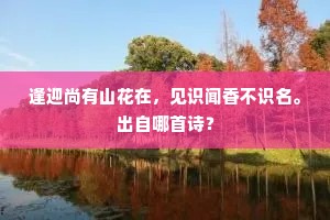 逢迎尚有山花在，见识闻香不识名。出自哪首诗？