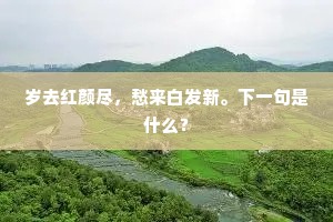 岁去红颜尽，愁来白发新。下一句是什么？