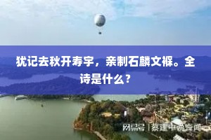 犹记去秋开寿宇，亲制石麟文褓。全诗是什么？