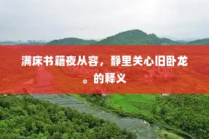 满床书籍夜从容，静里关心旧卧龙。的释义