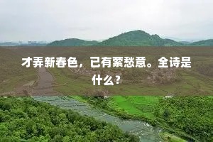 才弄新春色，已有萦愁意。全诗是什么？