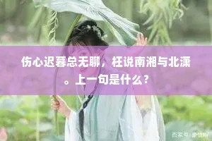 伤心迟暮总无聊，枉说南湘与北潇。上一句是什么？