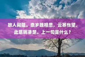 故人间阻。柰岁晚相思，云寒怅望，此意转凄楚。上一句是什么？