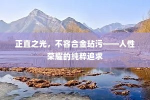 正直之光，不容合金玷污——人性荣耀的纯粹追求