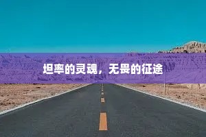 坦率的灵魂，无畏的征途