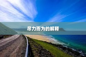 尽力而为的解释