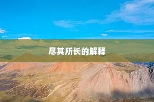 尽其所长的解释