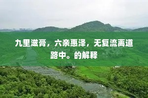 九里滋膏，六亲惠泽，无复流离道路中。的解释