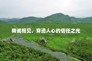 精诚相见，穿透人心的信任之光
