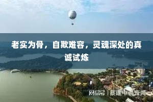 老实为骨，自欺难容，灵魂深处的真诚试炼