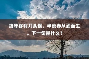 终年客有刀头恨，半夜春从酒面生。下一句是什么？