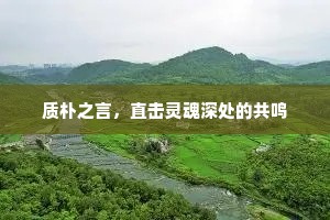 质朴之言，直击灵魂深处的共鸣