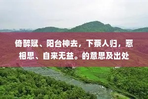 倚醉赋、阳台神去，下蔡人归，惹相思、自来无益。的意思及出处