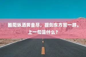 睢阳纵酒黄金尽，提剑东方暂一游。上一句是什么？