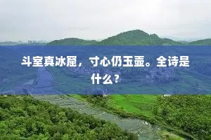 斗室真冰窟，寸心仍玉壶。全诗是什么？