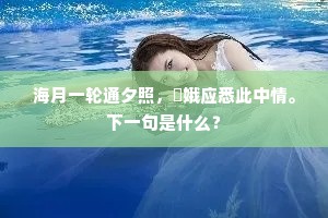 海月一轮通夕照，姮娥应悉此中情。下一句是什么？