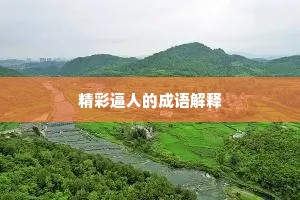 精彩逼人的成语解释