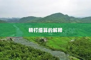 精打细算的解释