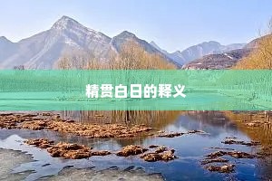 精贯白日的释义